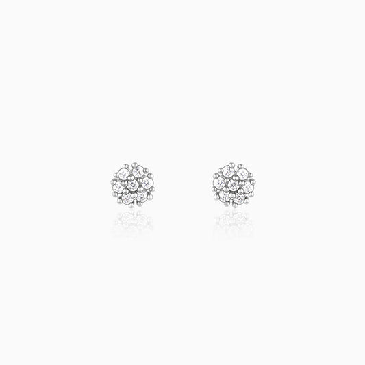 Silver Floral Elegant Earrings